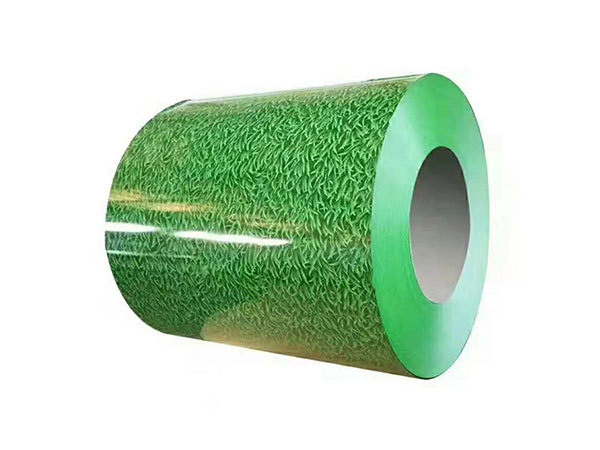 Color Coated Steel Coil